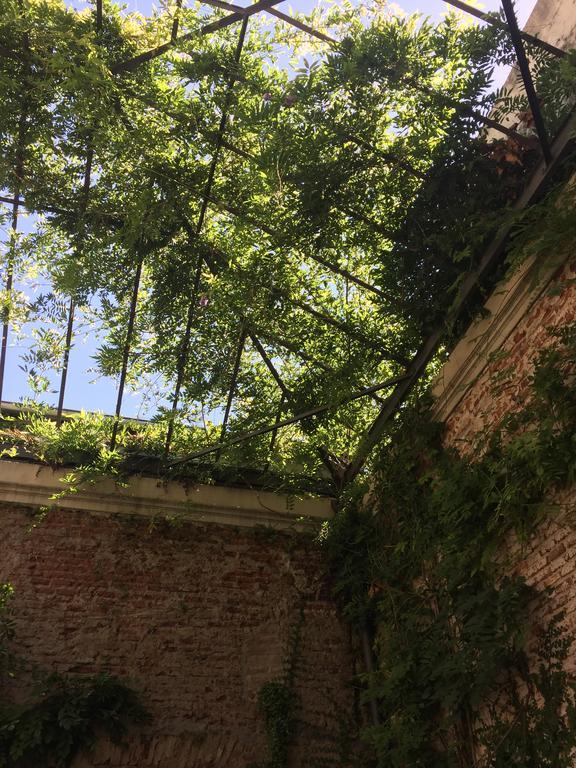 El Patio De Las Glicinas Colonia del Sacramento Dış mekan fotoğraf
